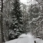 Panoramachalet *
