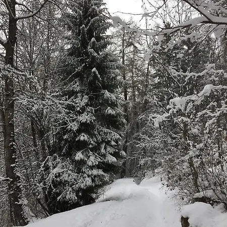 Panoramachalet *